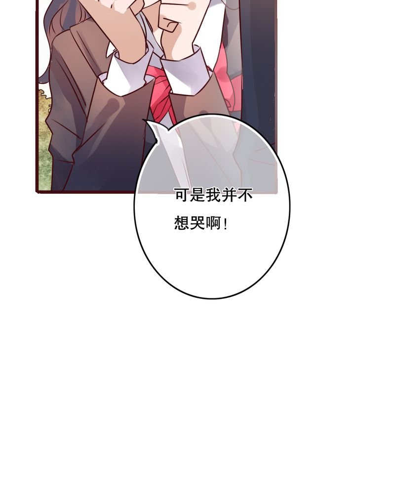 第37章：记忆