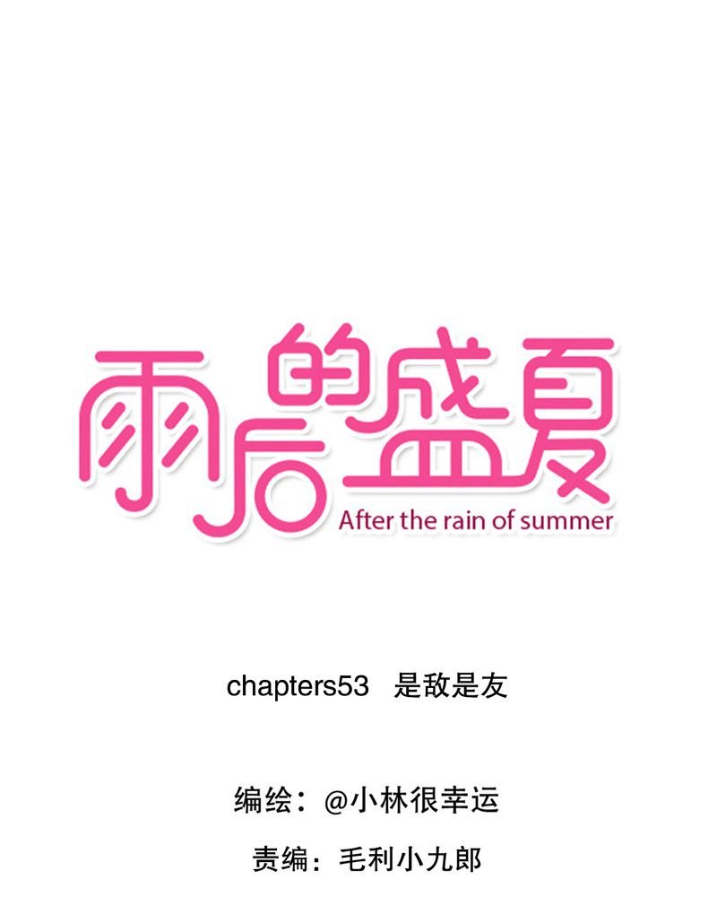第53章：是敌是友