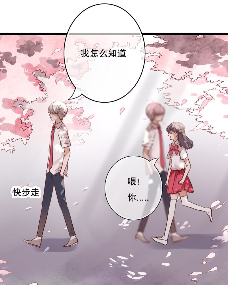 第60章：擦肩而过