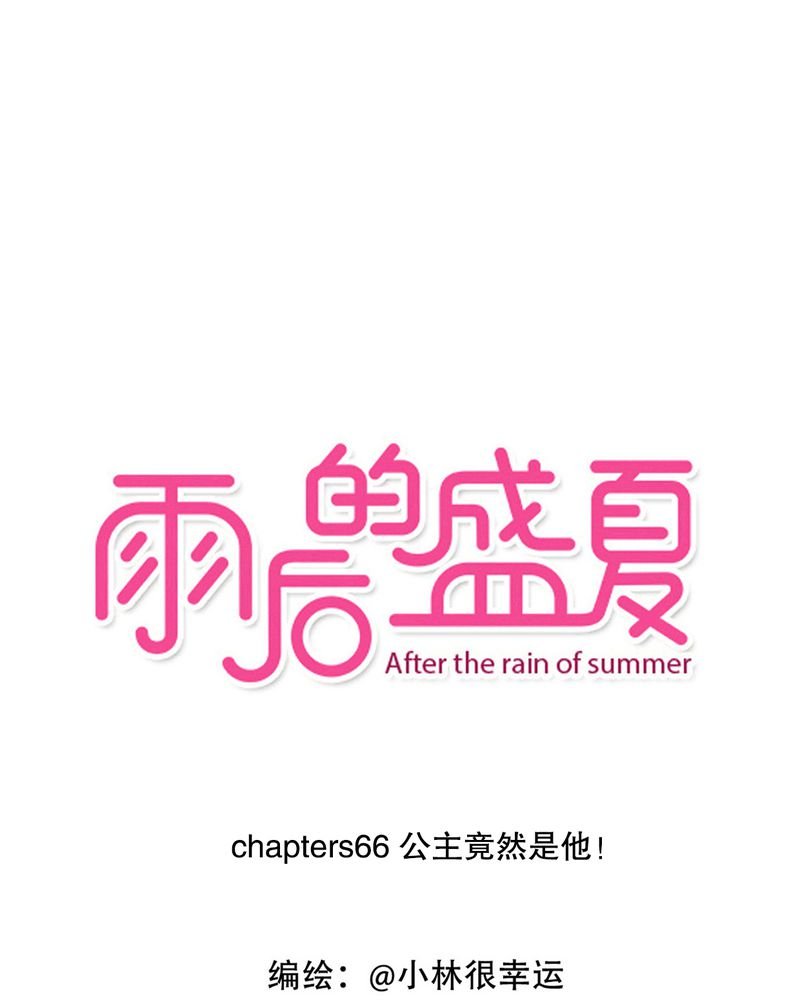 第66章：公主竟然是他！