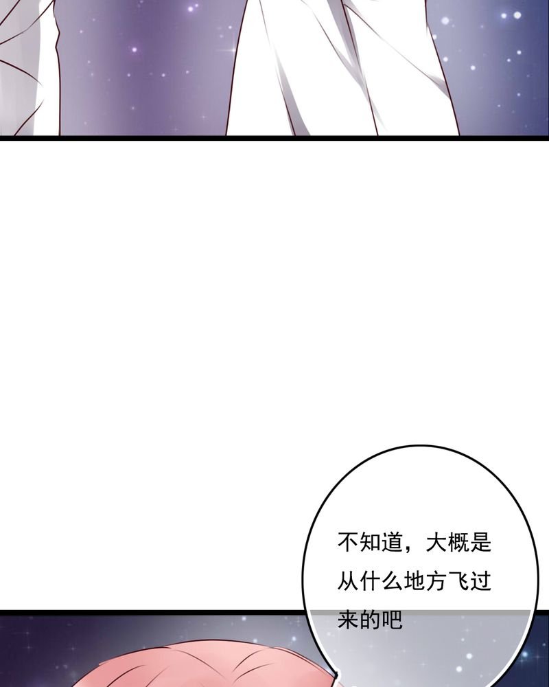 第74章：误会