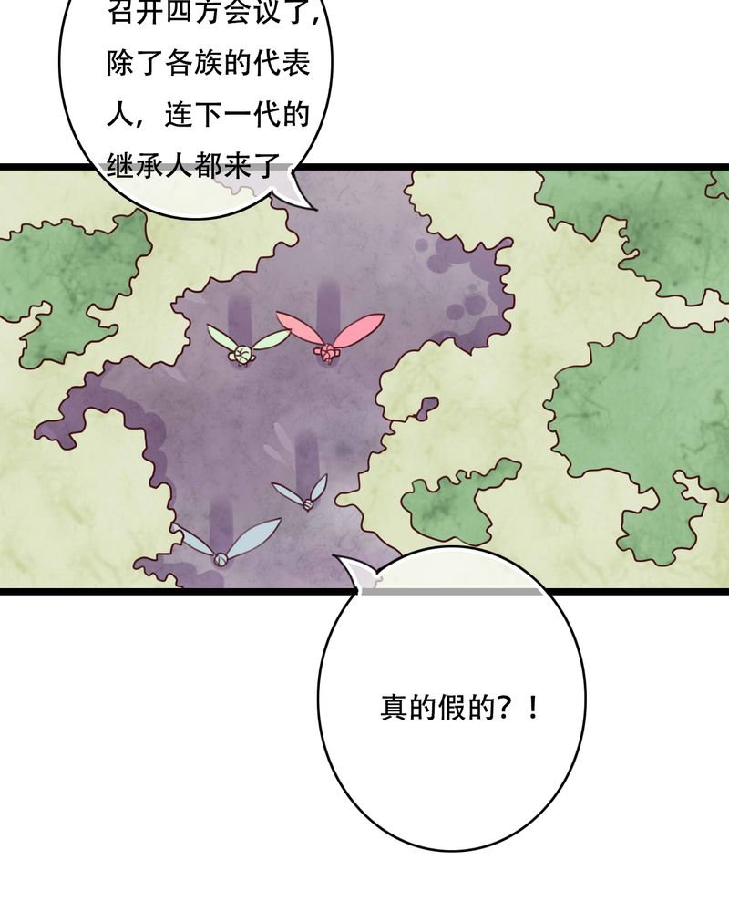 第79章：初次相遇