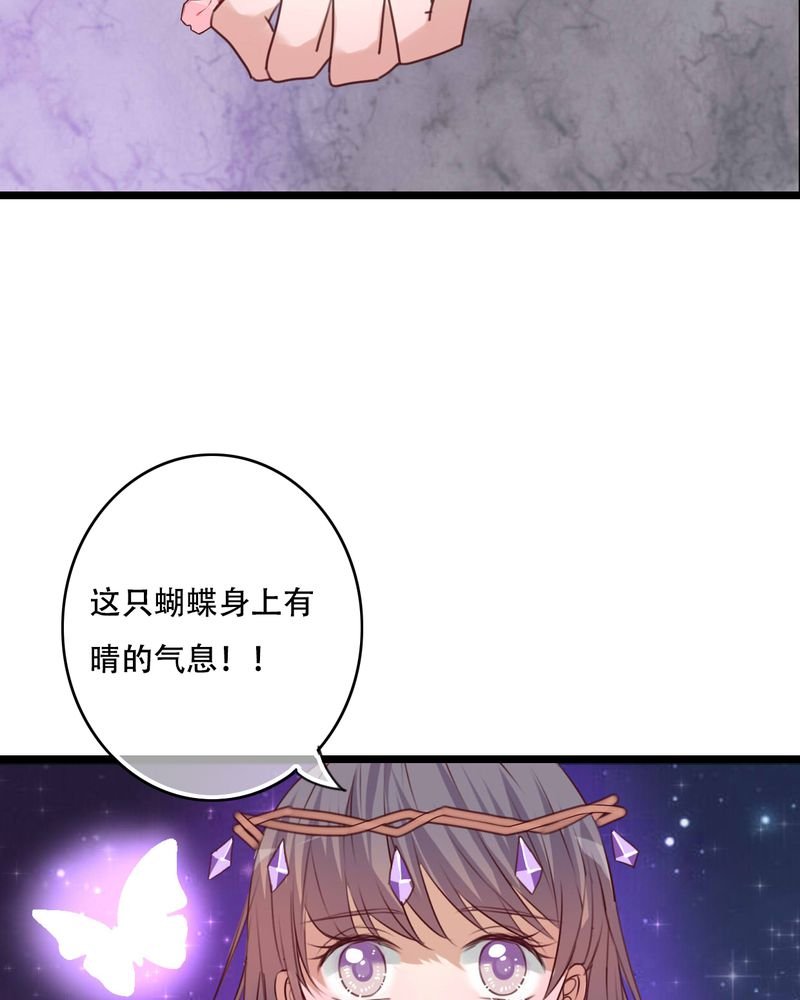第84章：小樱的决定
