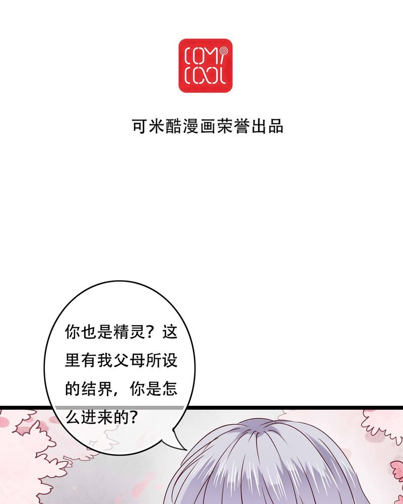 第87章：治愈系精灵