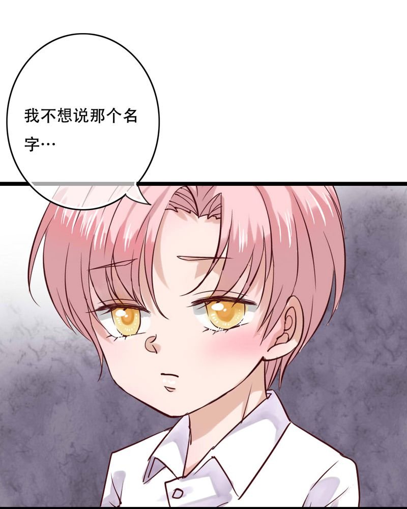 第87章：治愈系精灵