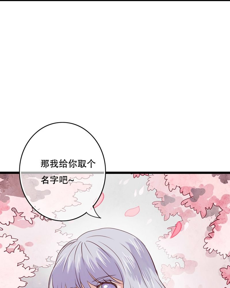 第87章：治愈系精灵