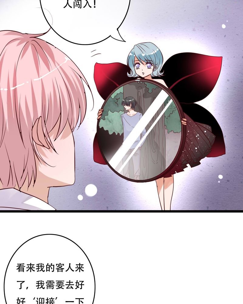 第87章：治愈系精灵