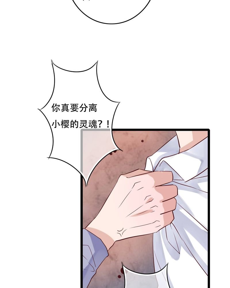 第87章：治愈系精灵