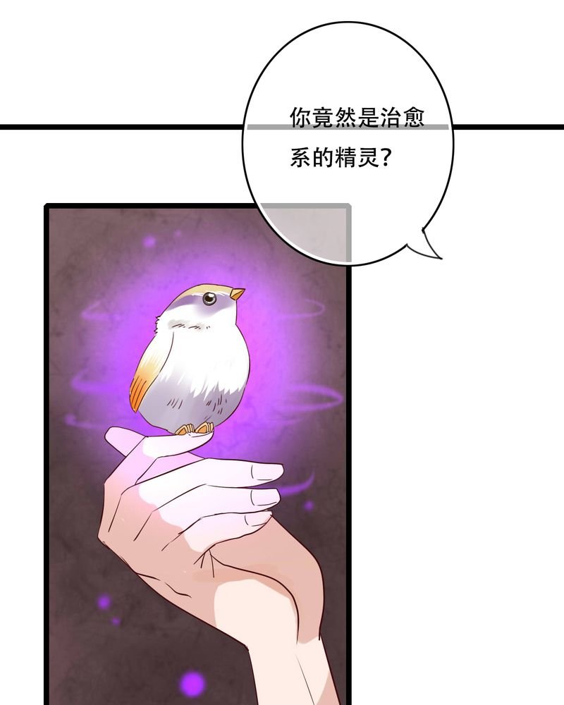 第87章：治愈系精灵
