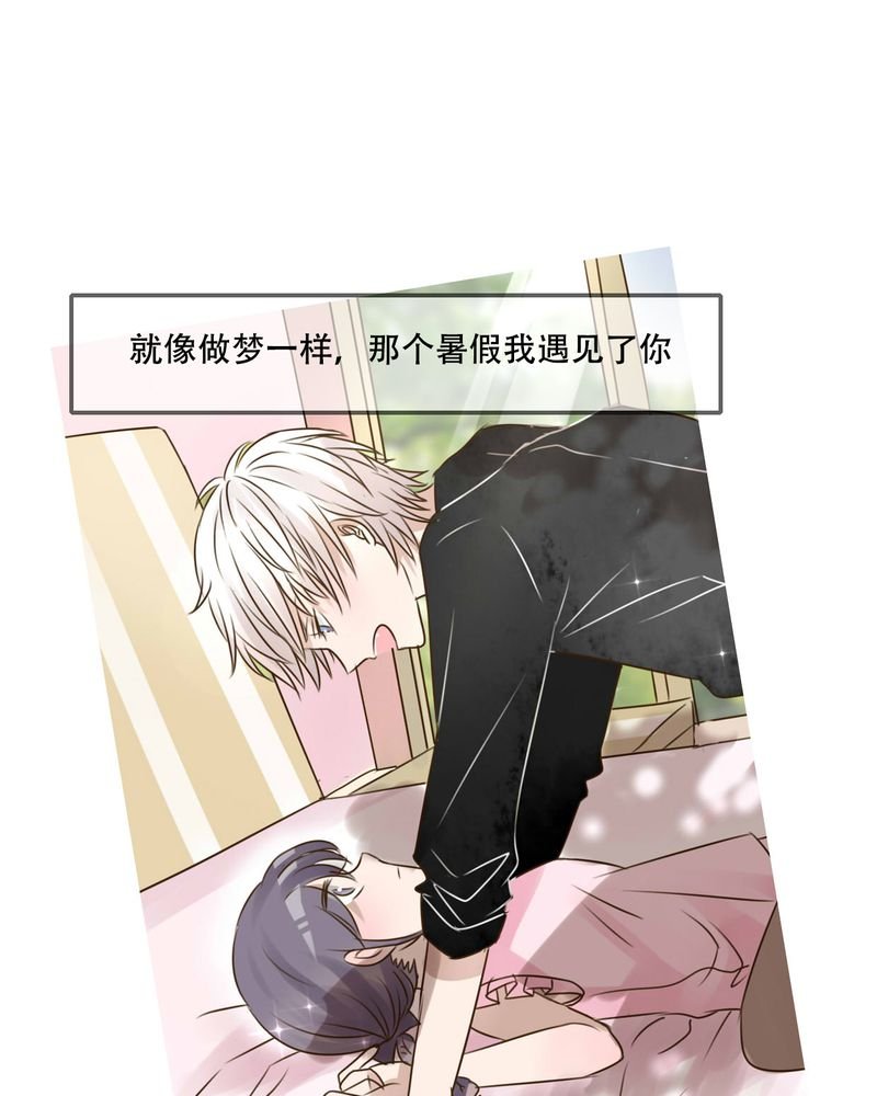 第95章：他们的婚礼