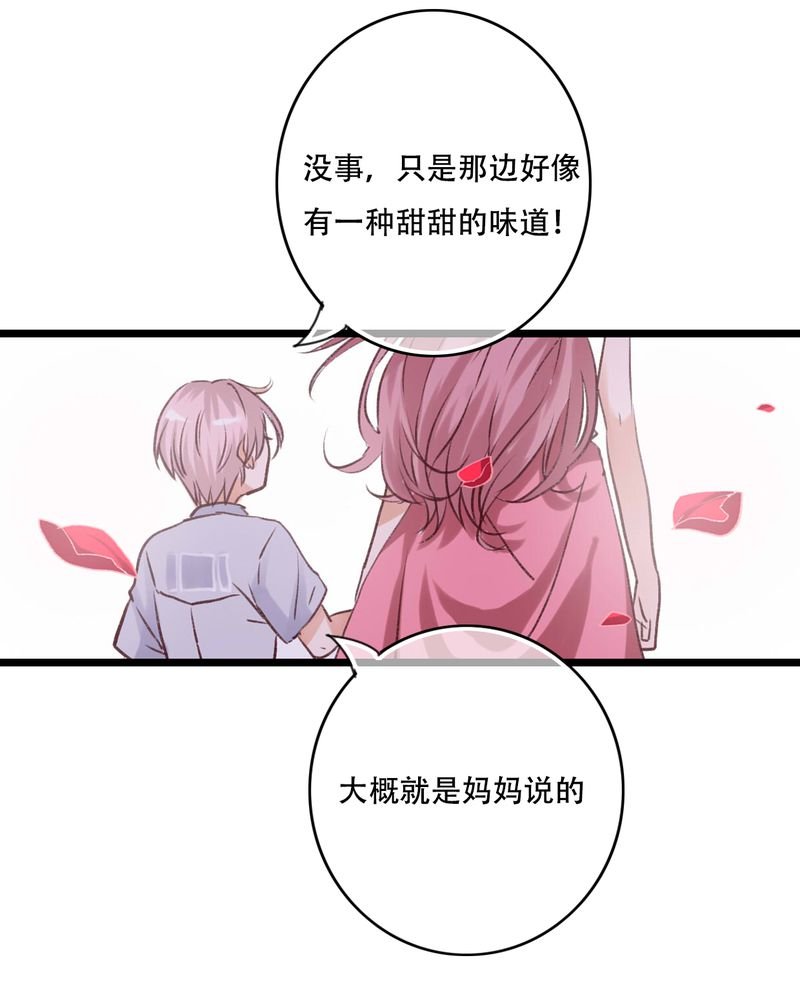 第95章：他们的婚礼