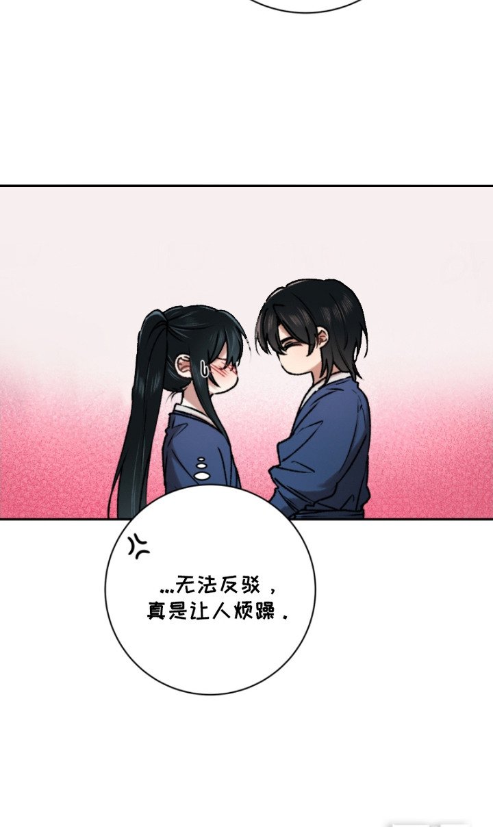 第14章：解释