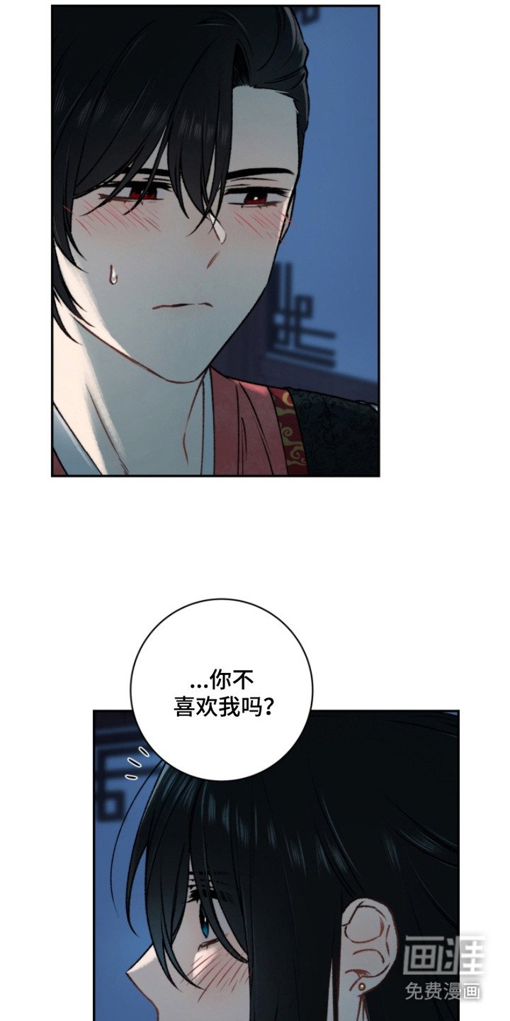 第17章：也喜欢你（完结）