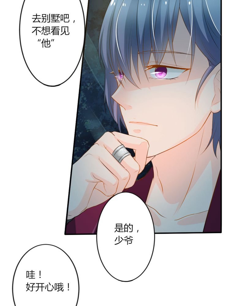 第14章：严晓君的阴谋
