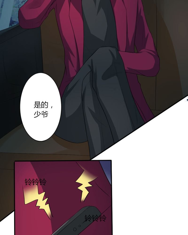 第14章：严晓君的阴谋