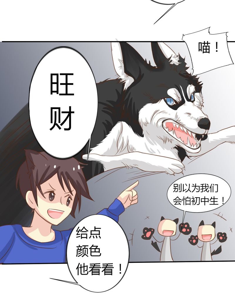第2章：茉莉的回忆