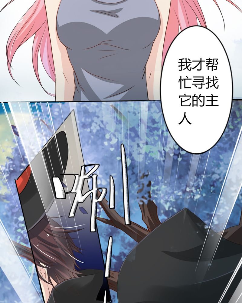 第7章：突然多了个便宜师父