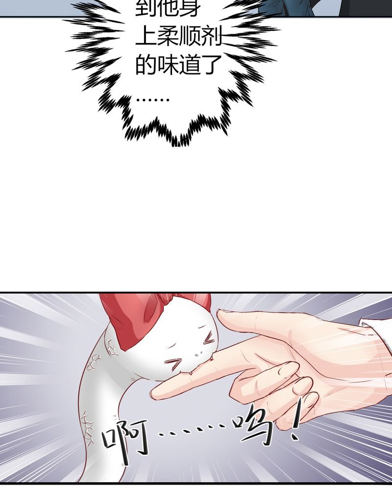 第7章：突然多了个便宜师父
