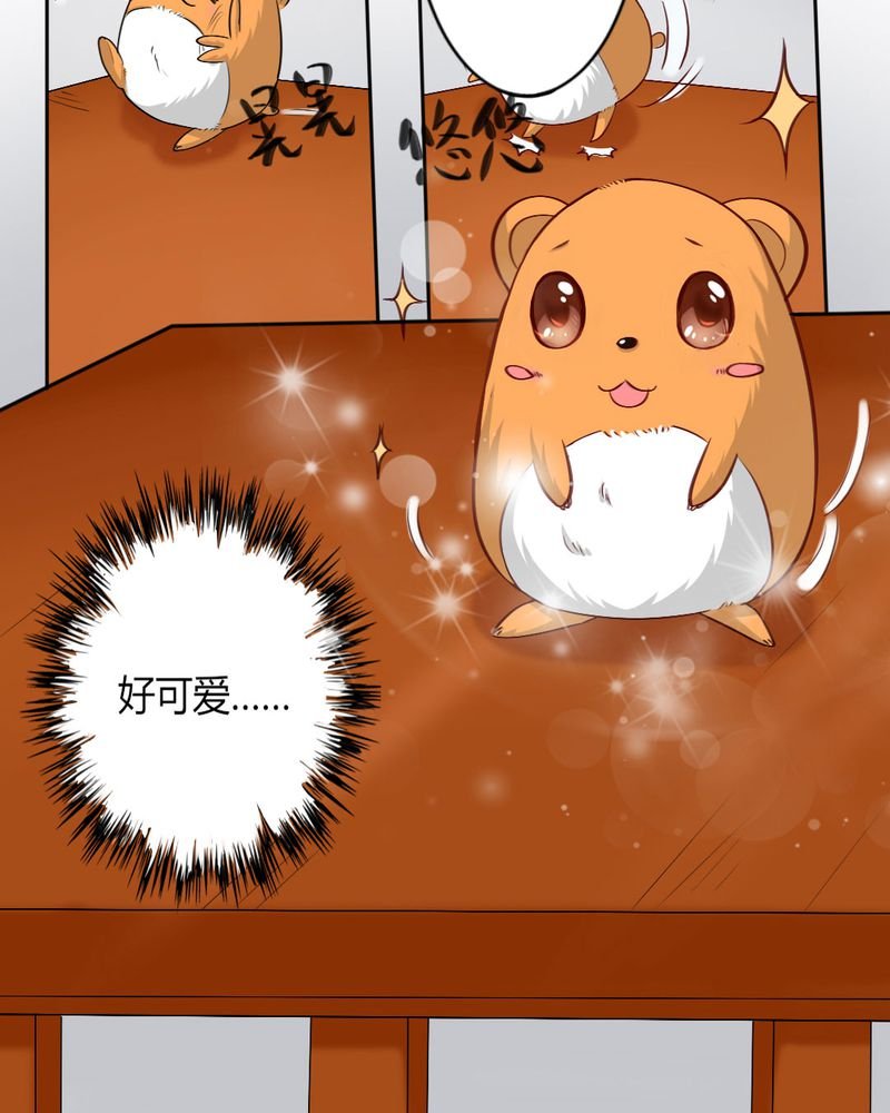 第8章：我竟然输给一只仓鼠