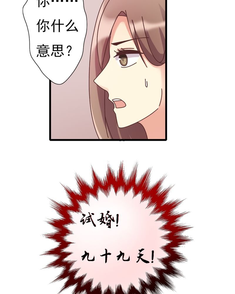 第7章：试婚99天