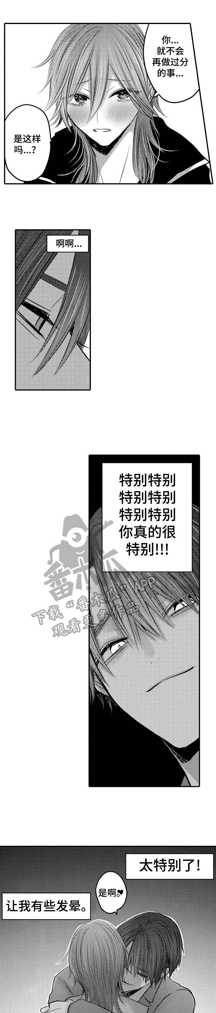 第20章：解决
