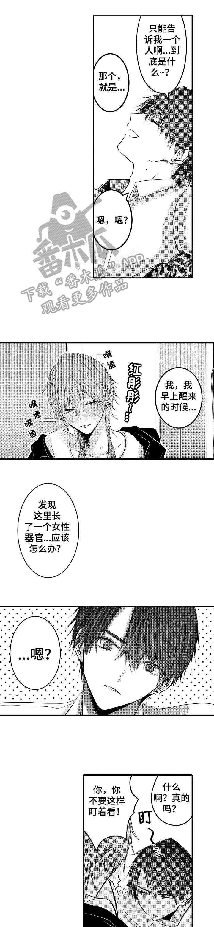 第3章：可爱
