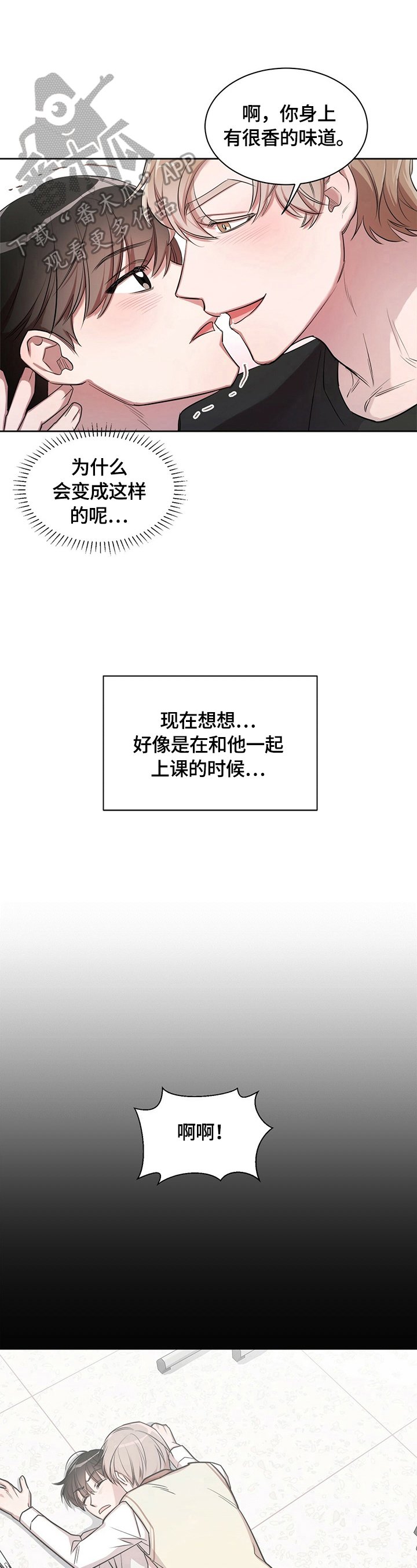 第3章：关注