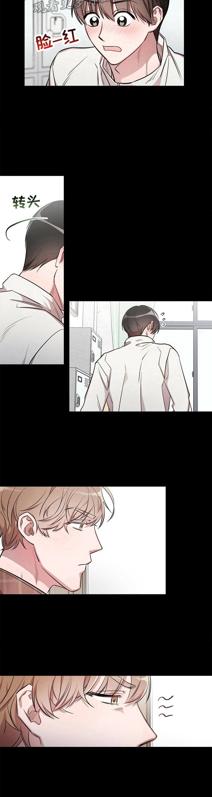 第3章：关注
