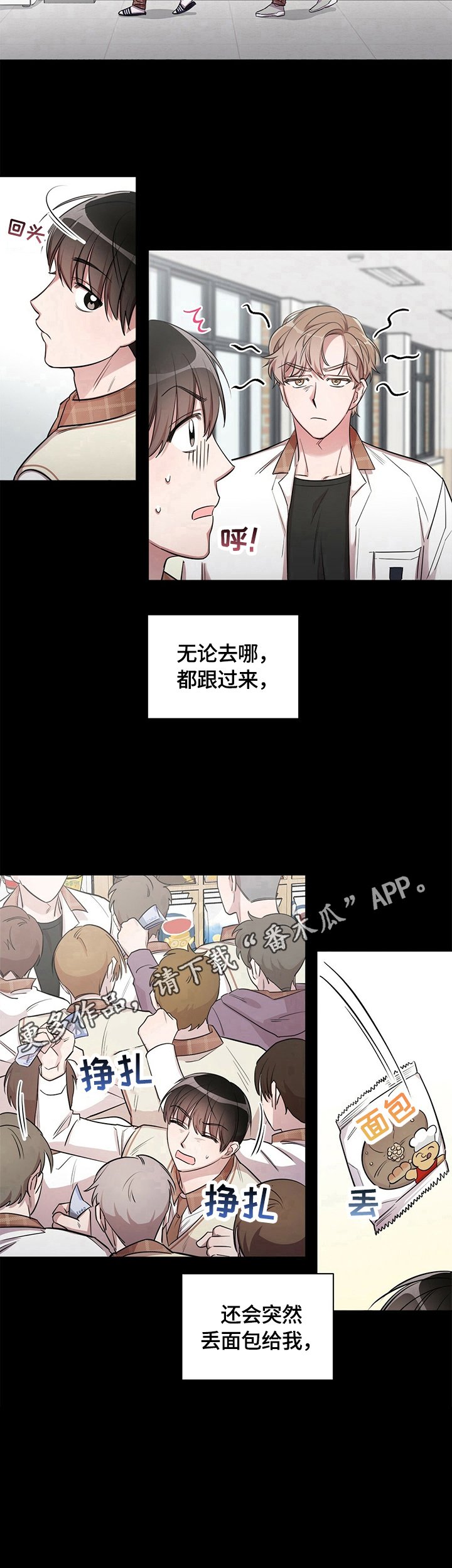 第3章：关注