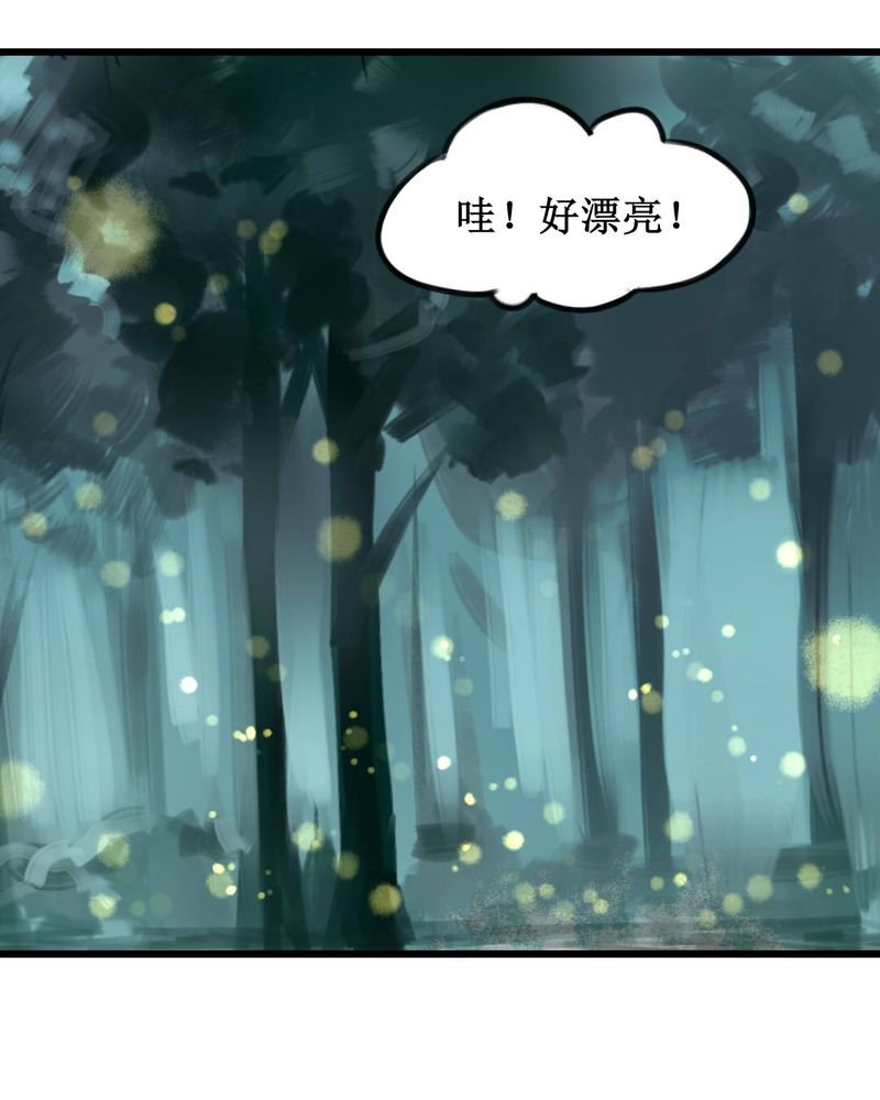 第11章：