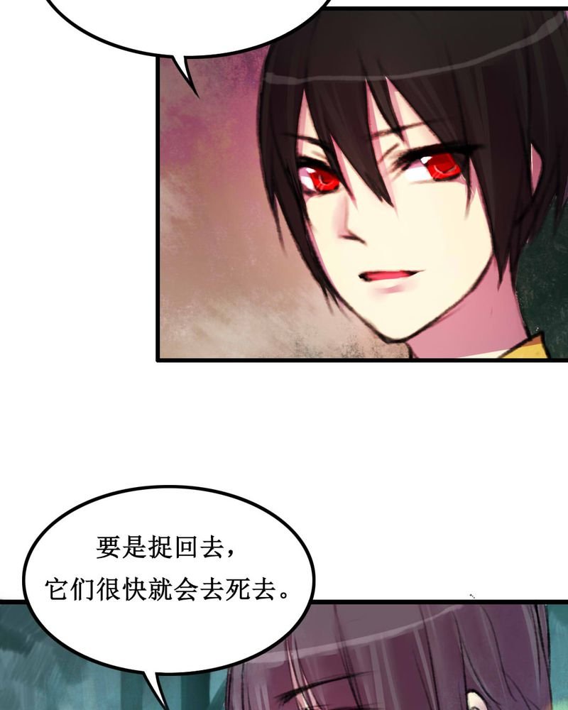 第11章：