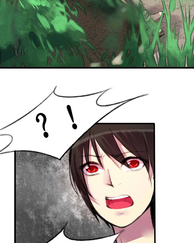 第11章：