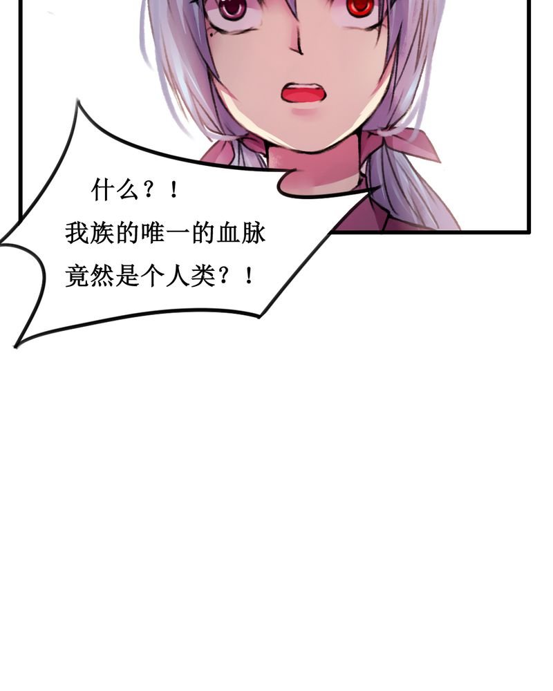 第17章：