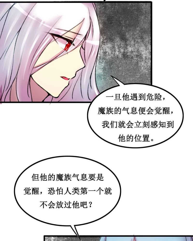 第19章：