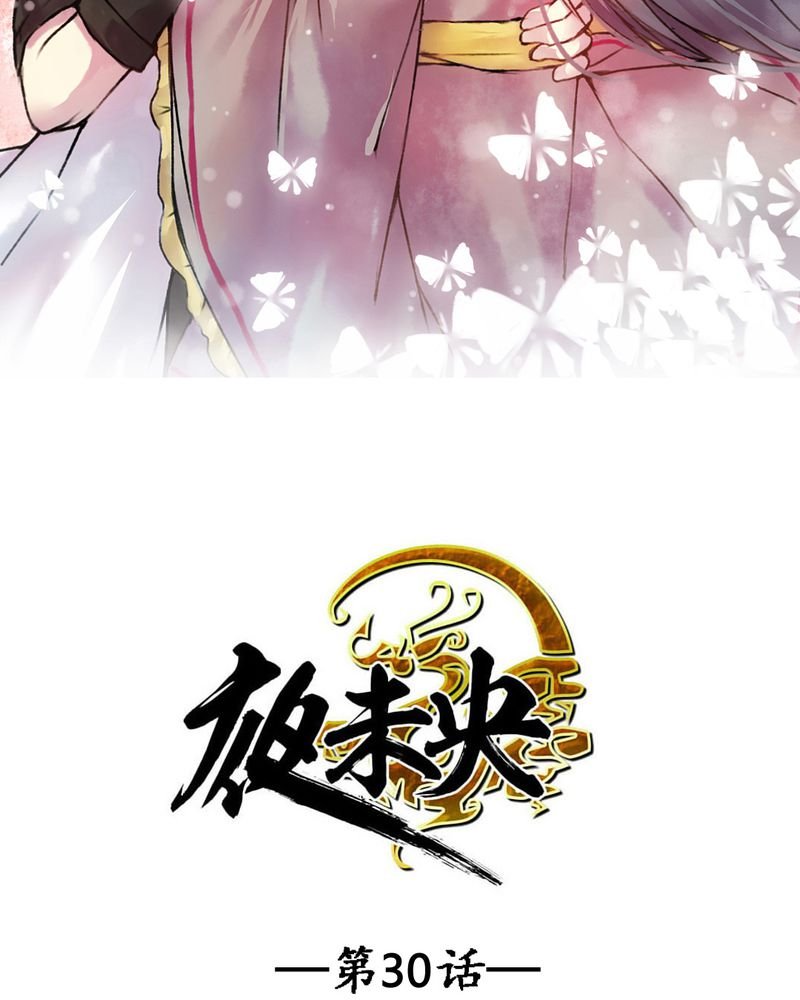 第30章：