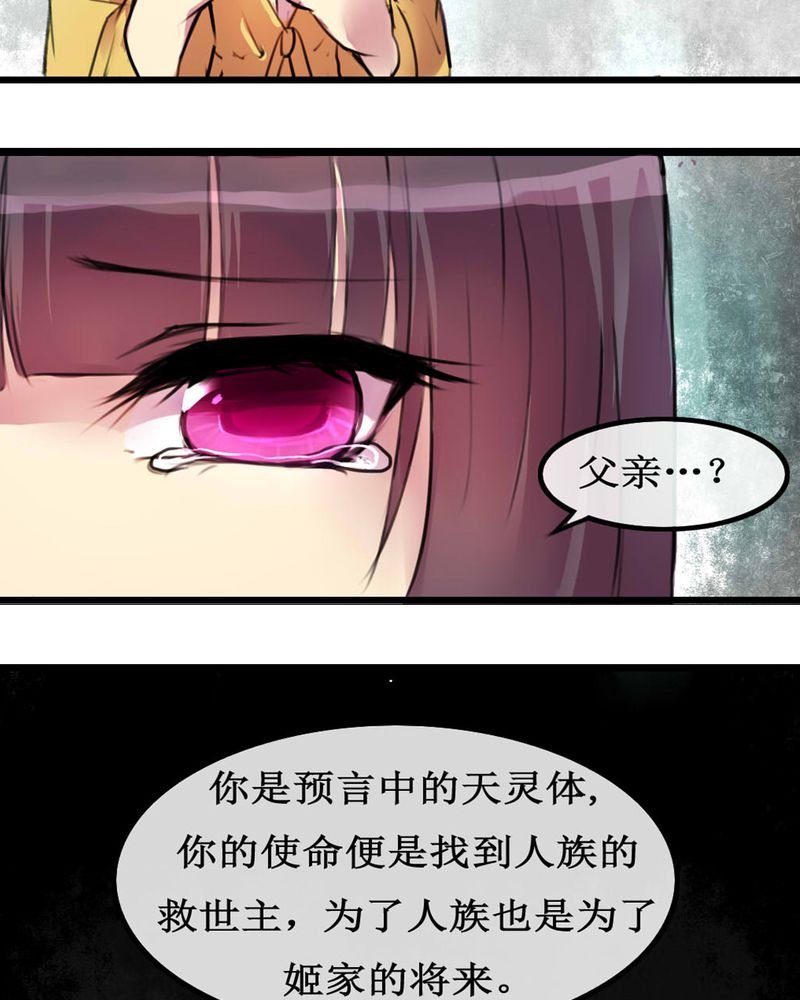 第4章：