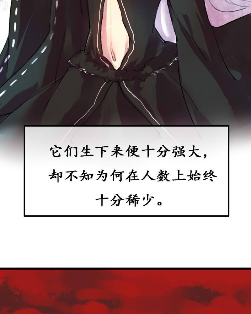 第5章：