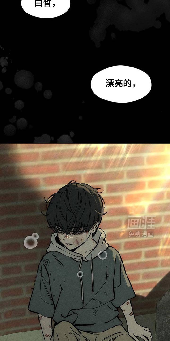 第108章：绝对不能被发现