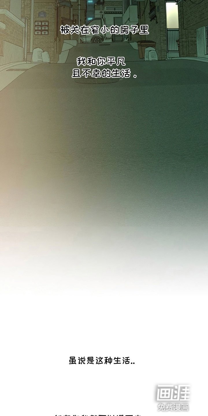 第12章：新奇体验