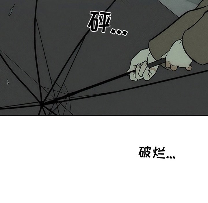 第12章：新奇体验