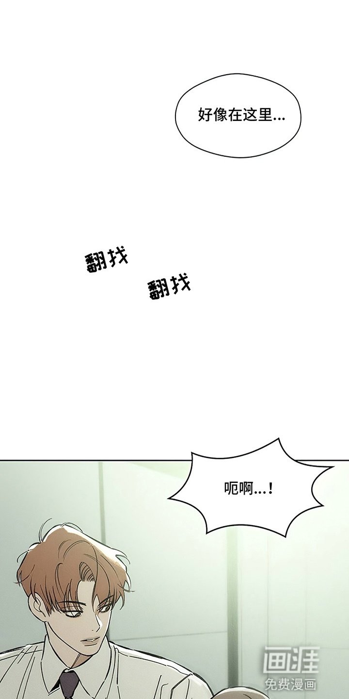 第12章：新奇体验