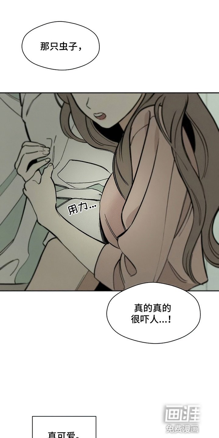 第12章：新奇体验