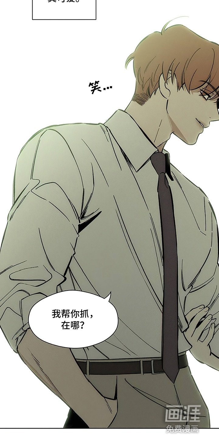 第12章：新奇体验