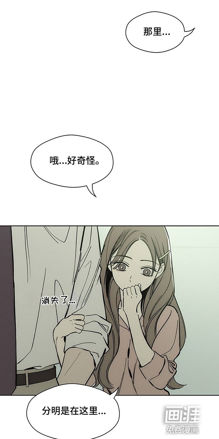 第12章：新奇体验