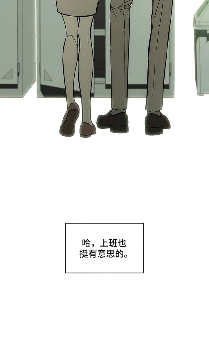 第12章：新奇体验