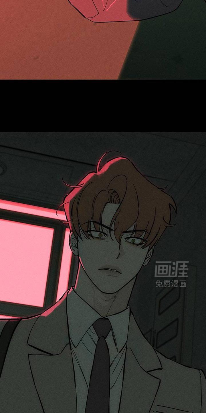 第142章：甘愿承受