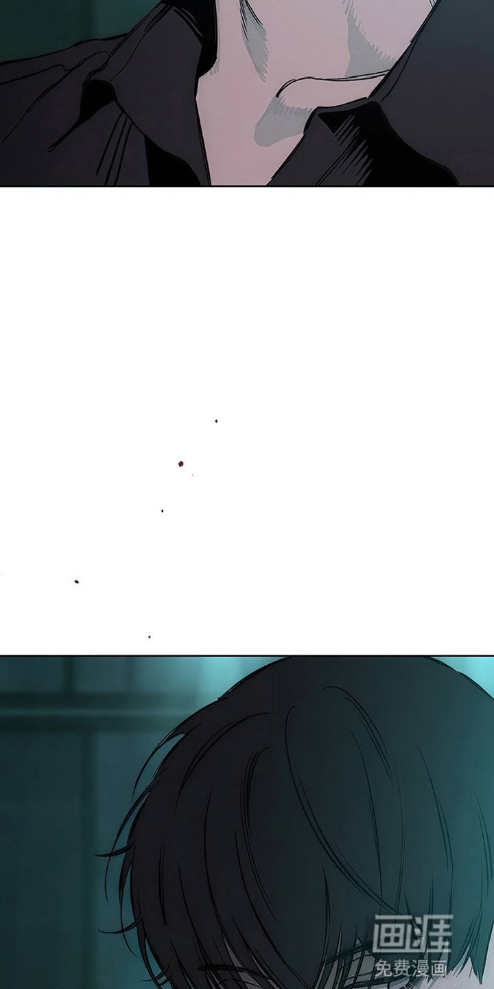 第19章：苦肉计