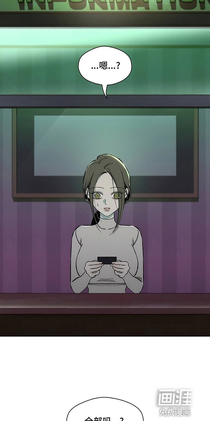 第27章：在暗地保护