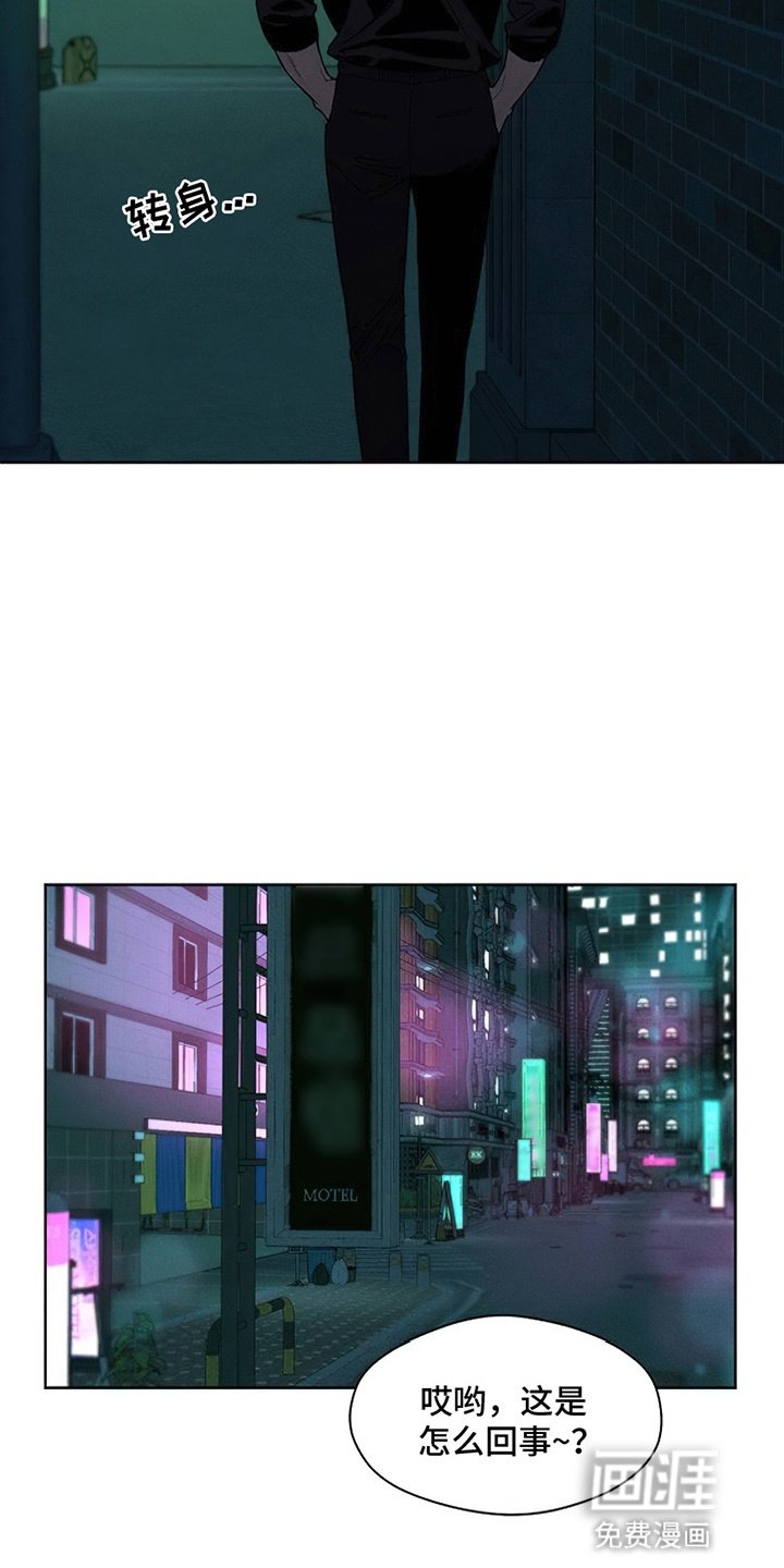 第27章：在暗地保护