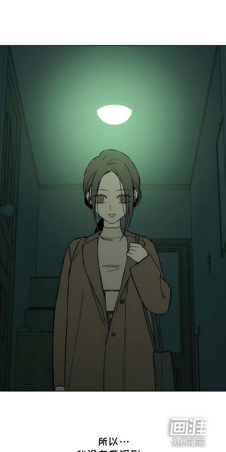 第27章：在暗地保护